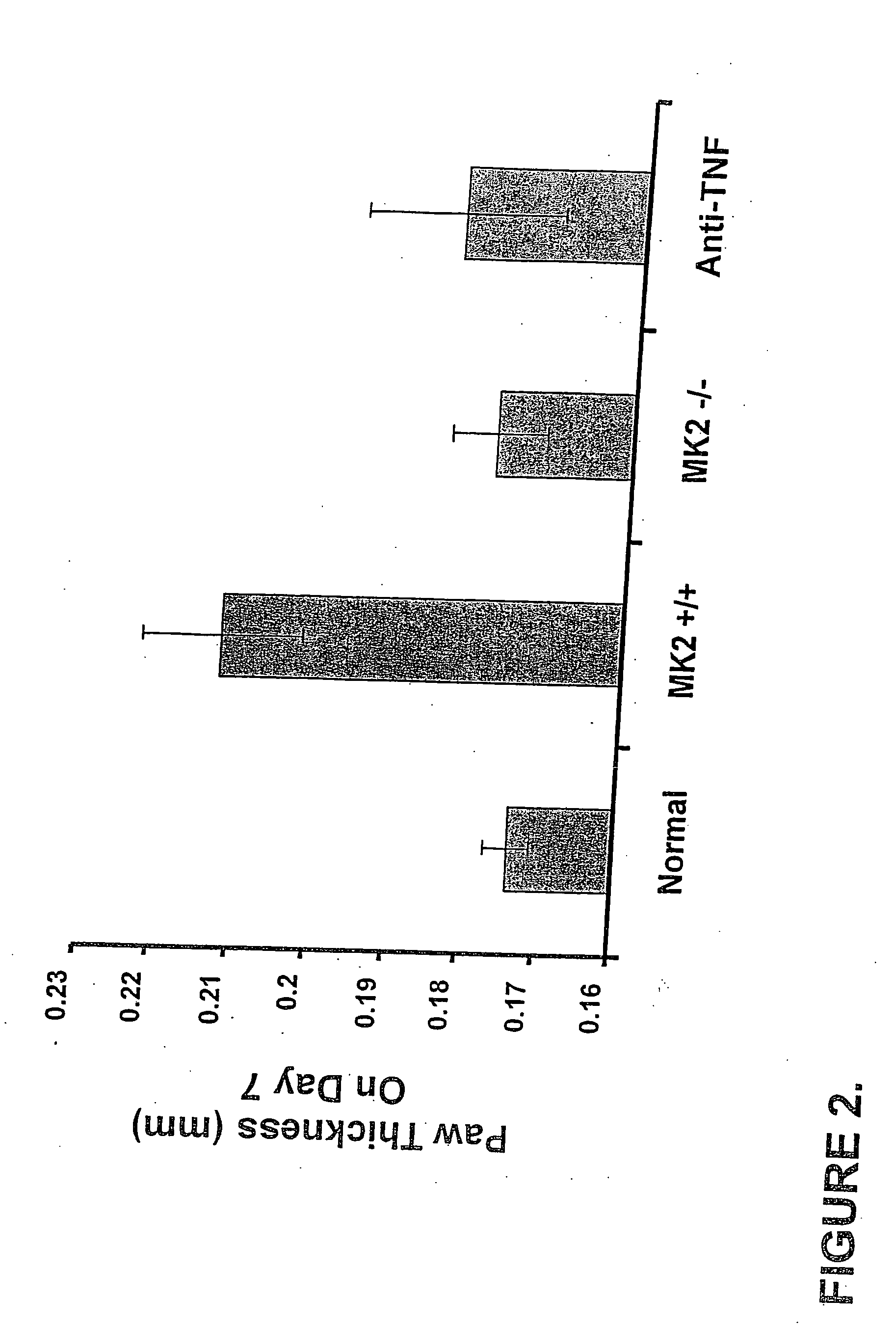 Beta-carboline compounds and analogues thereof as mitogen-activated protein kinase-activated protein kinase-2 inhibitors