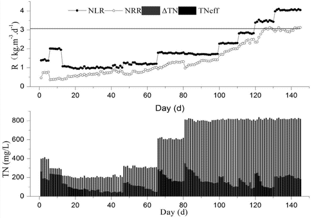 Starting and efficient operating method of normal-temperature high-ammonia-nitrogen completely autotrophic nitrogen-removal over nitrite (CANON) technique