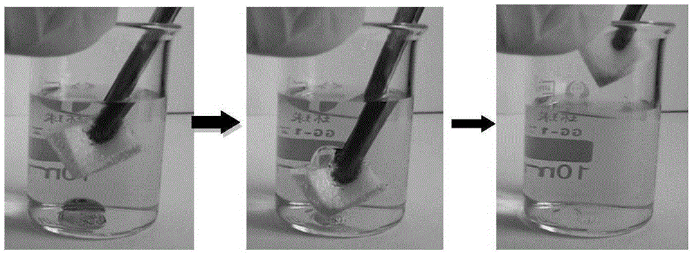 Method for preparing reusable oil-absorbing sponge