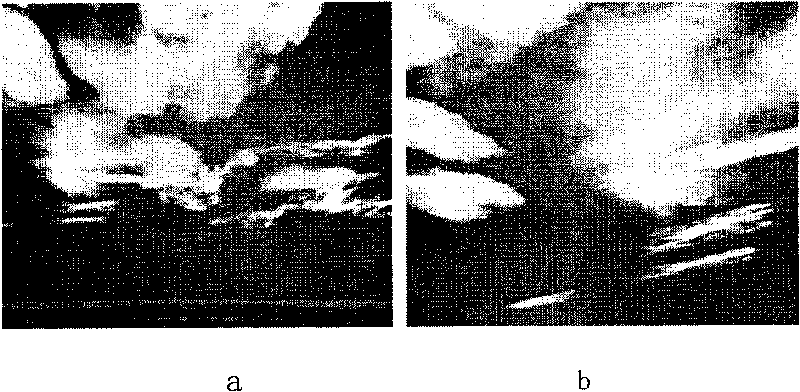 Comprehensive simulation method for realistic cloud layer