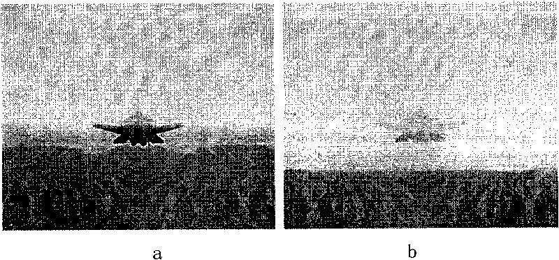 Comprehensive simulation method for realistic cloud layer