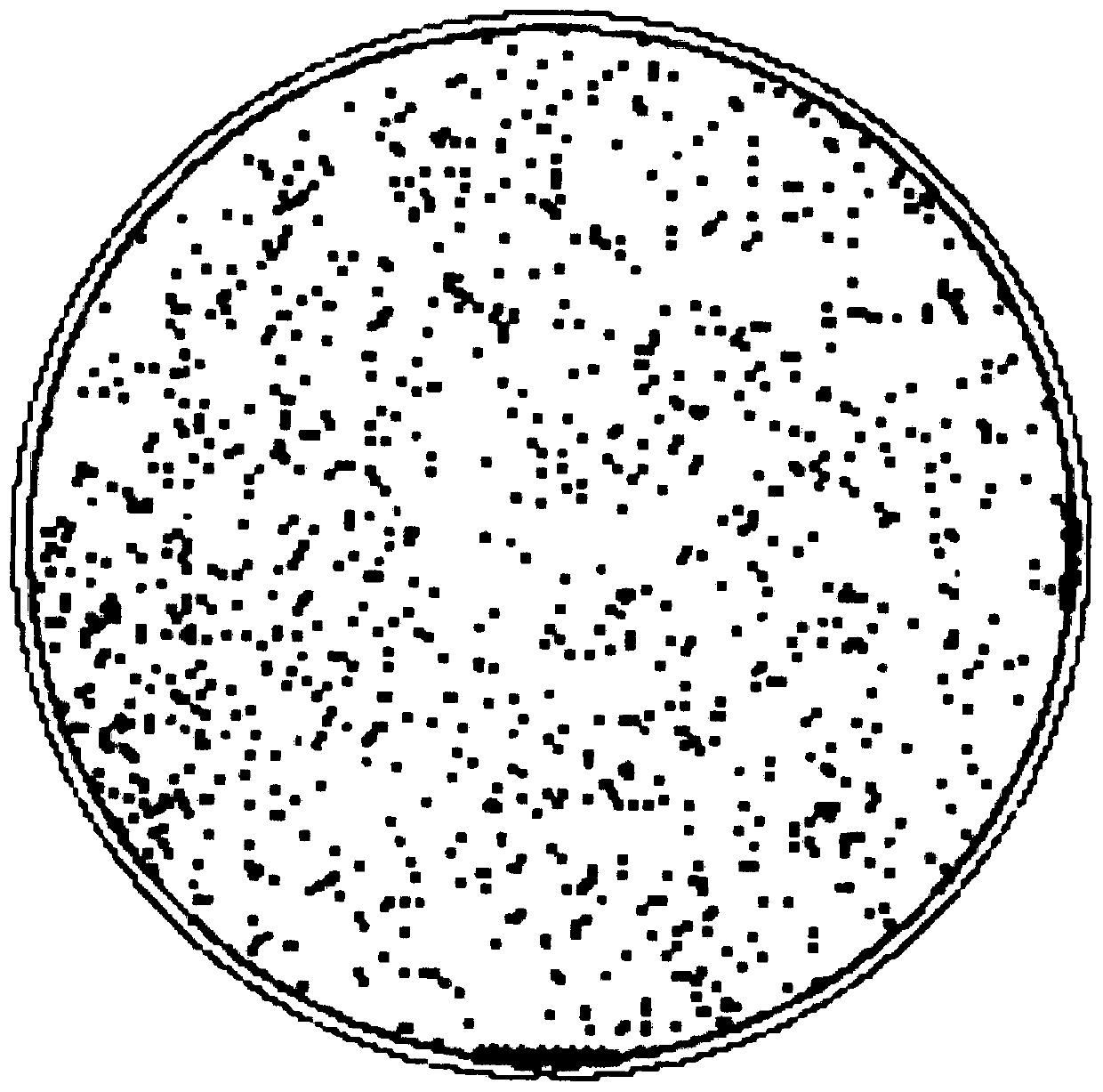 Method for cleaning silicon wafer at room temperature