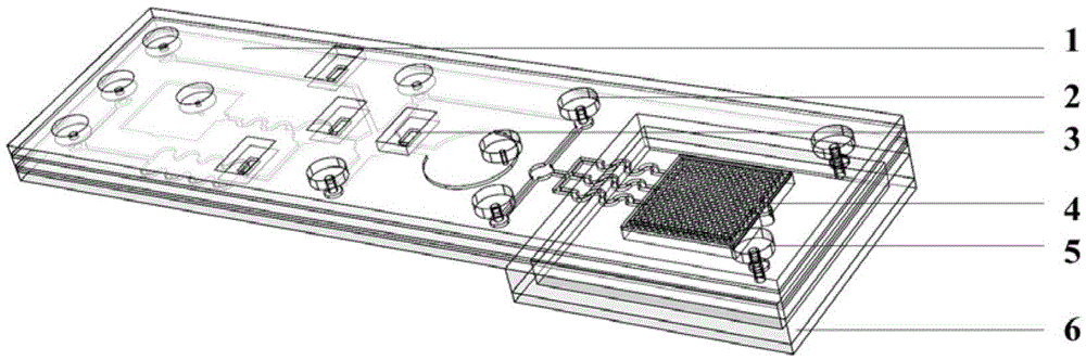 Digital PCR chip and using method thereof