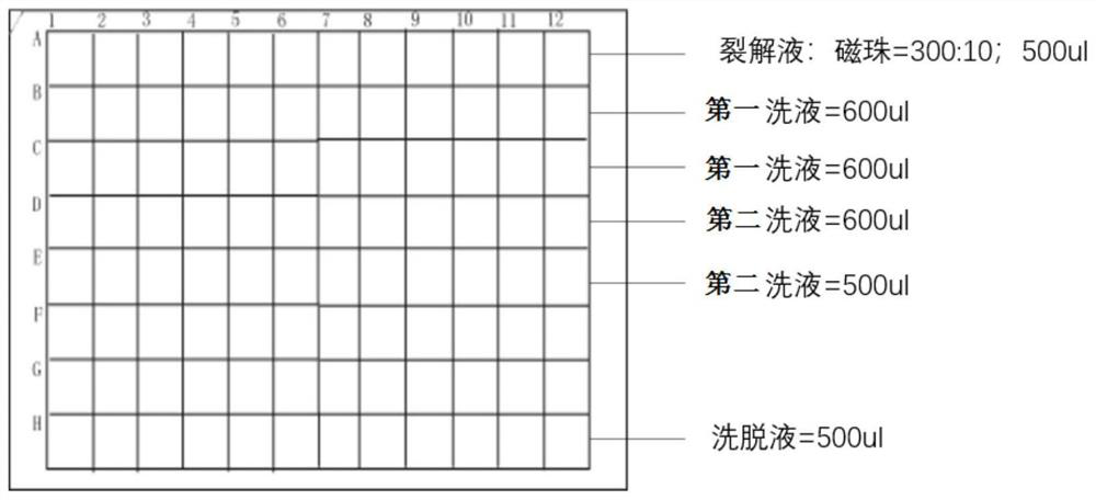 Coronavirus detection product and application thereof