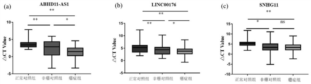 A group of lncRNA molecular markers related to pancreatic cancer and its application