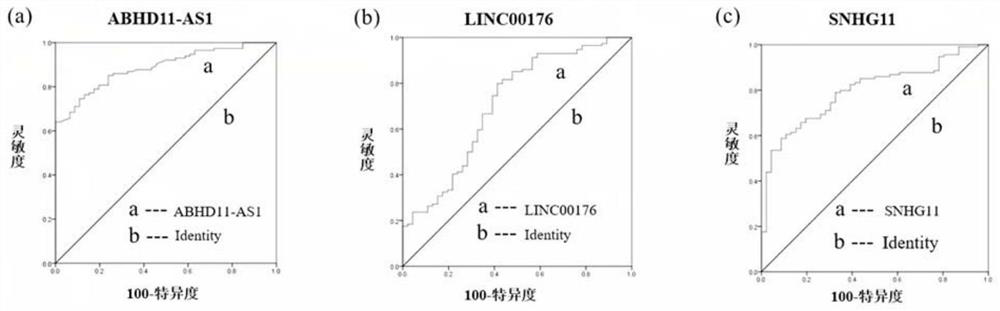 A group of lncRNA molecular markers related to pancreatic cancer and its application