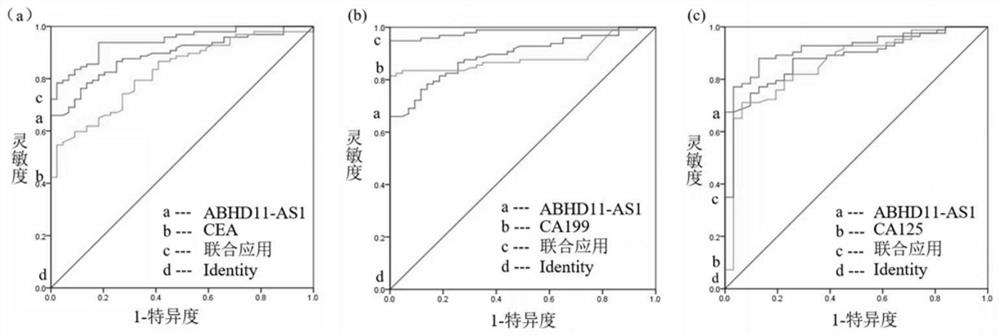 A group of lncRNA molecular markers related to pancreatic cancer and its application