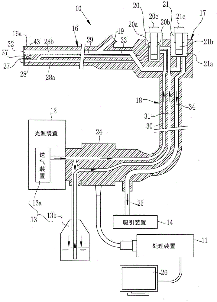 Insertion part for endoscope and endoscope