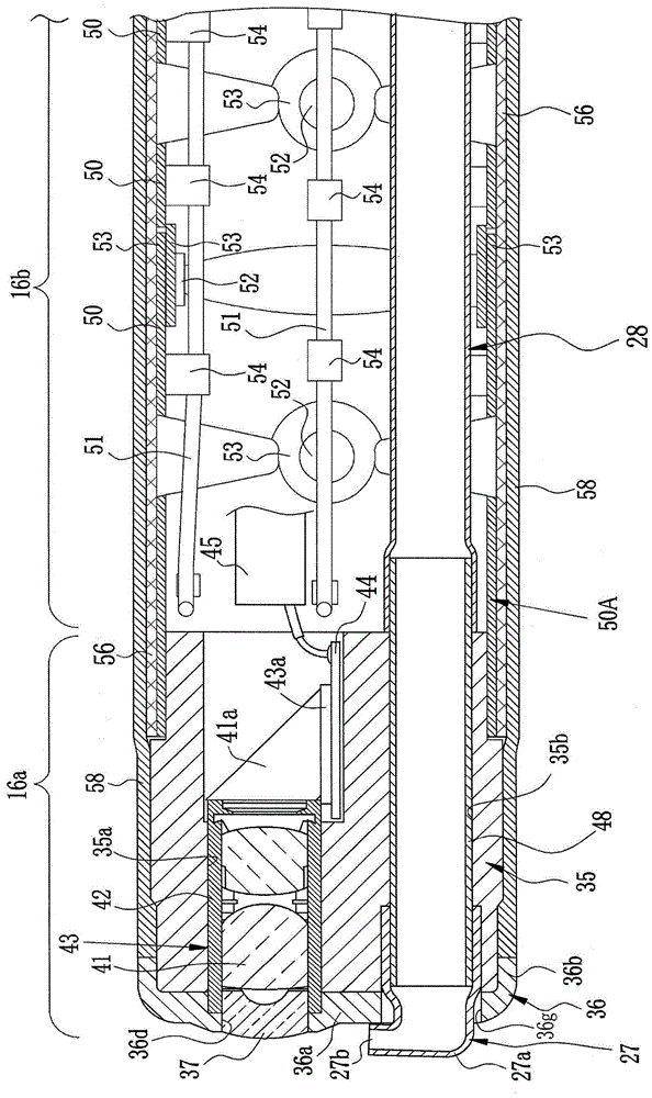 Insertion part for endoscope and endoscope