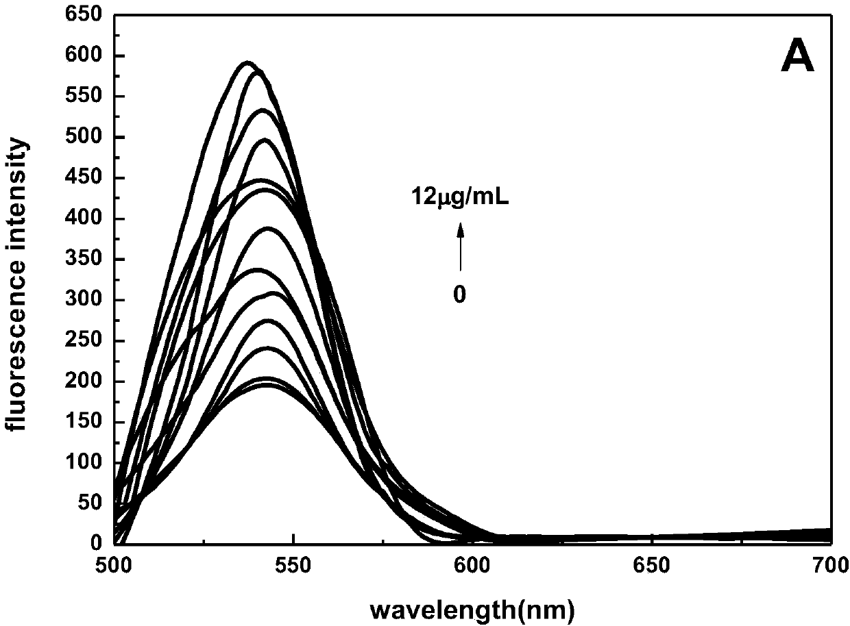 Composite fluorescent biosensor, and preparation method and application thereof