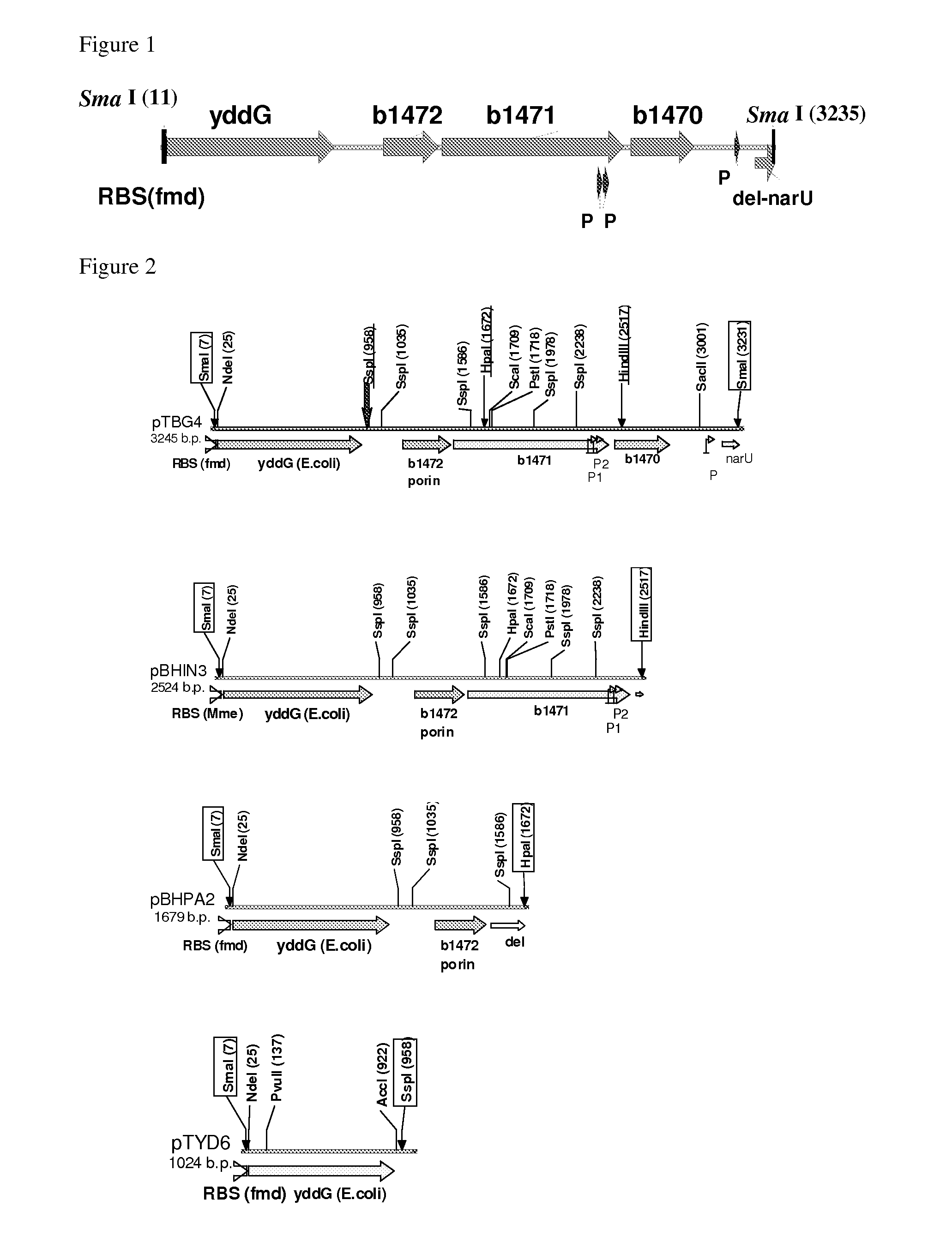 Method for Producing Aromatic L-Amino Acid Using Bacterium Belonging to the Genus Methylophilus