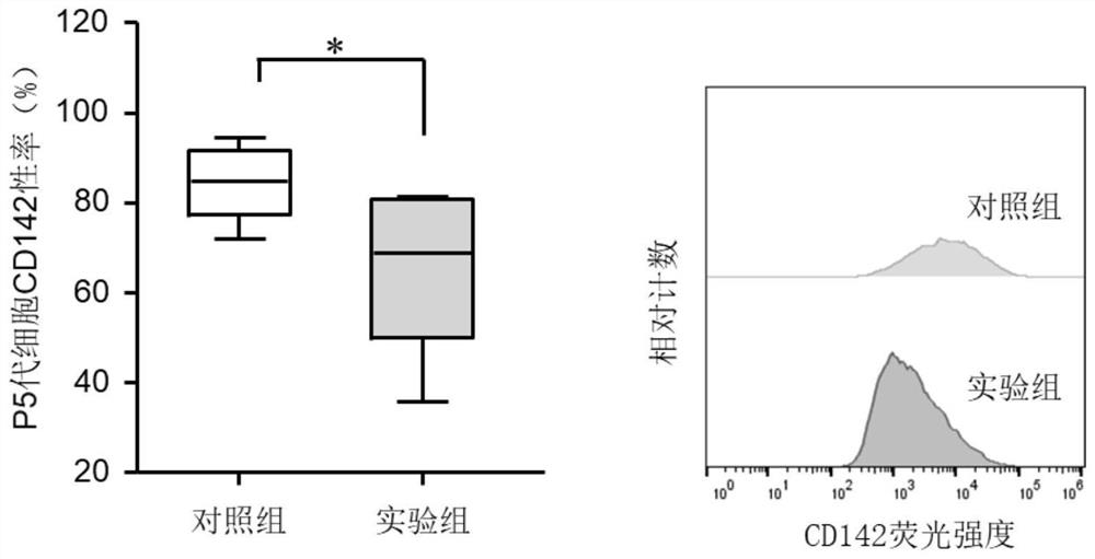 Isolating culture method and application of human umbilical cord mesenchymal stem cells