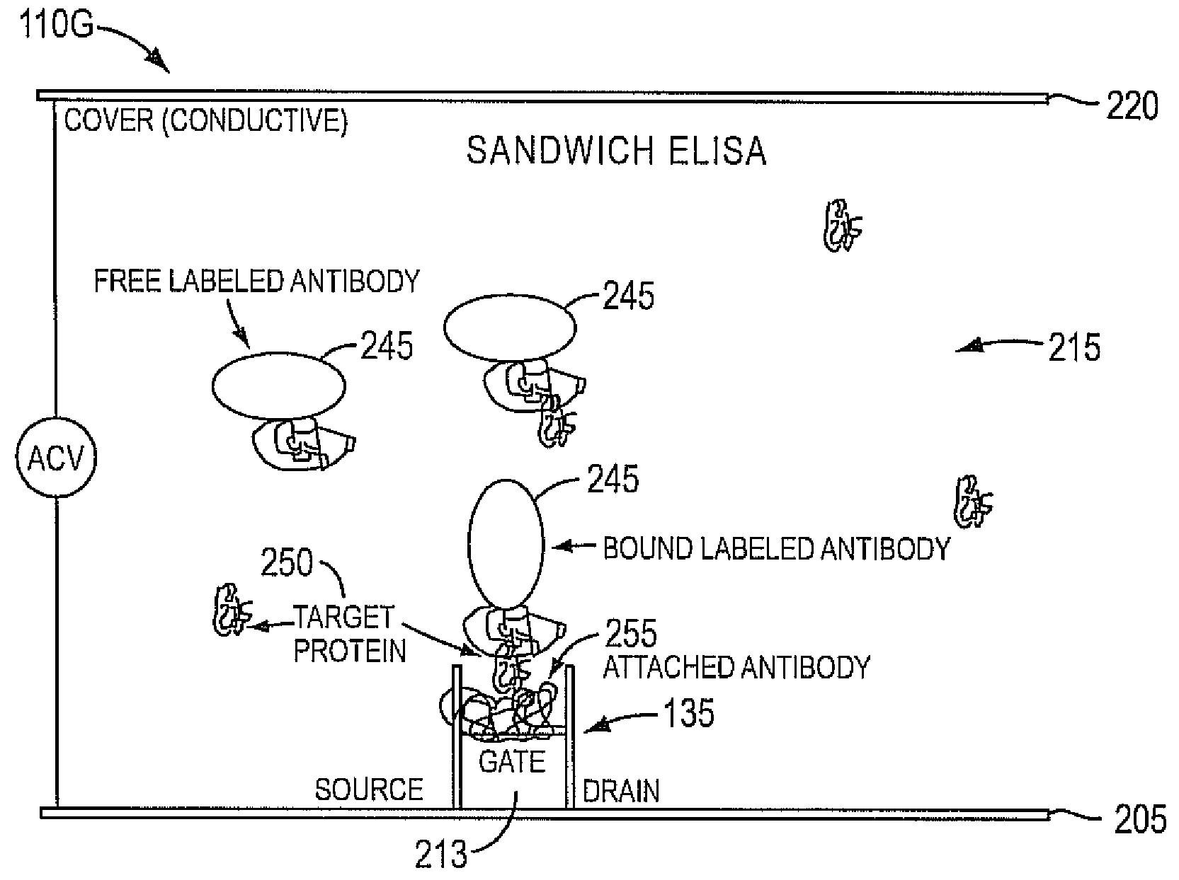 Systems and methods for electronic detection with nanofets