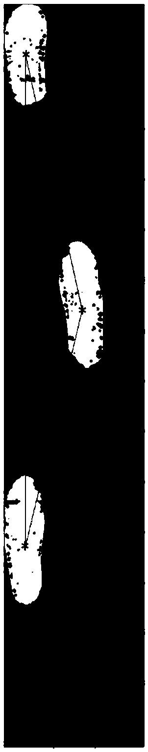 A step-by-step footprint recognition method combined with footwork features