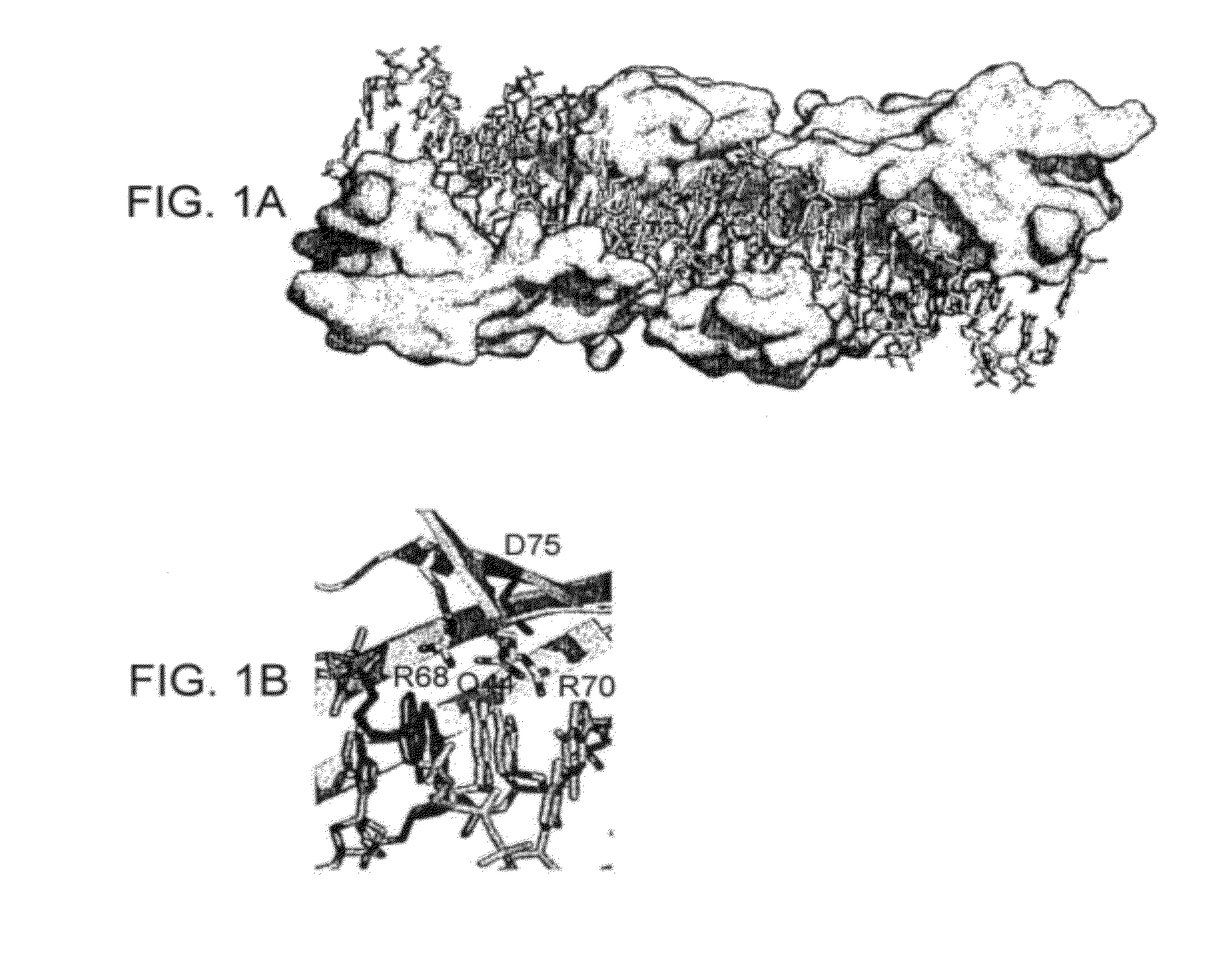 I-crei meganuclease variants with modified specificity, method of preparation and uses thereof