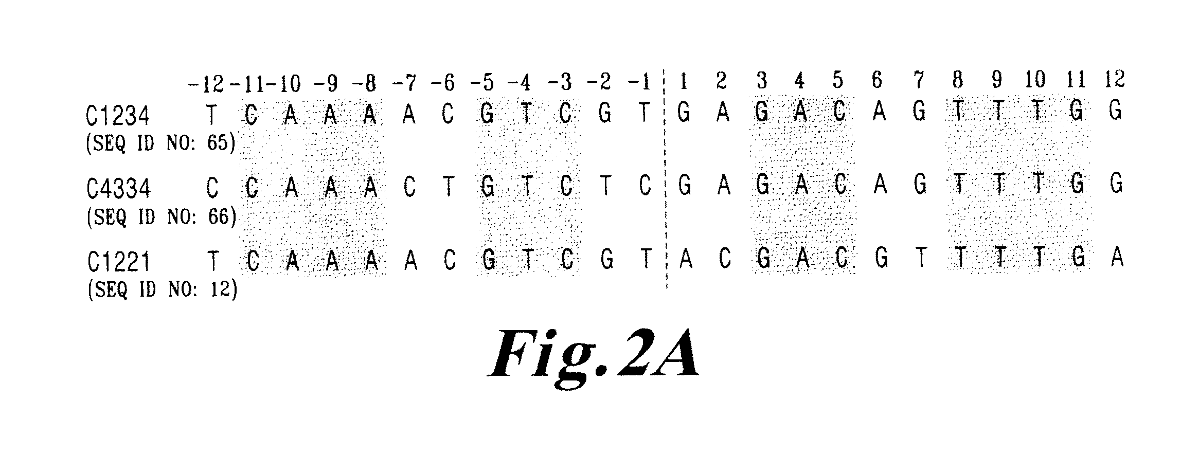 I-crei meganuclease variants with modified specificity, method of preparation and uses thereof