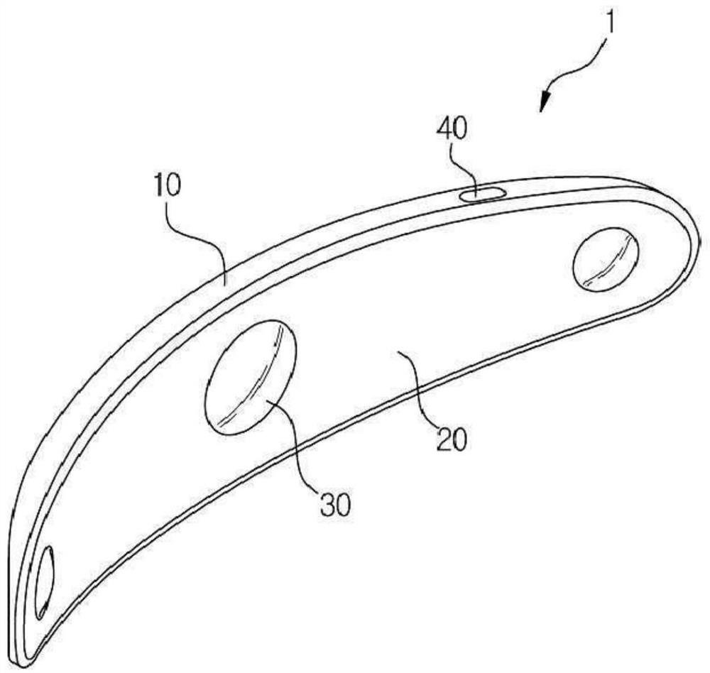 Adhesive heating device and manufacturing method thereof