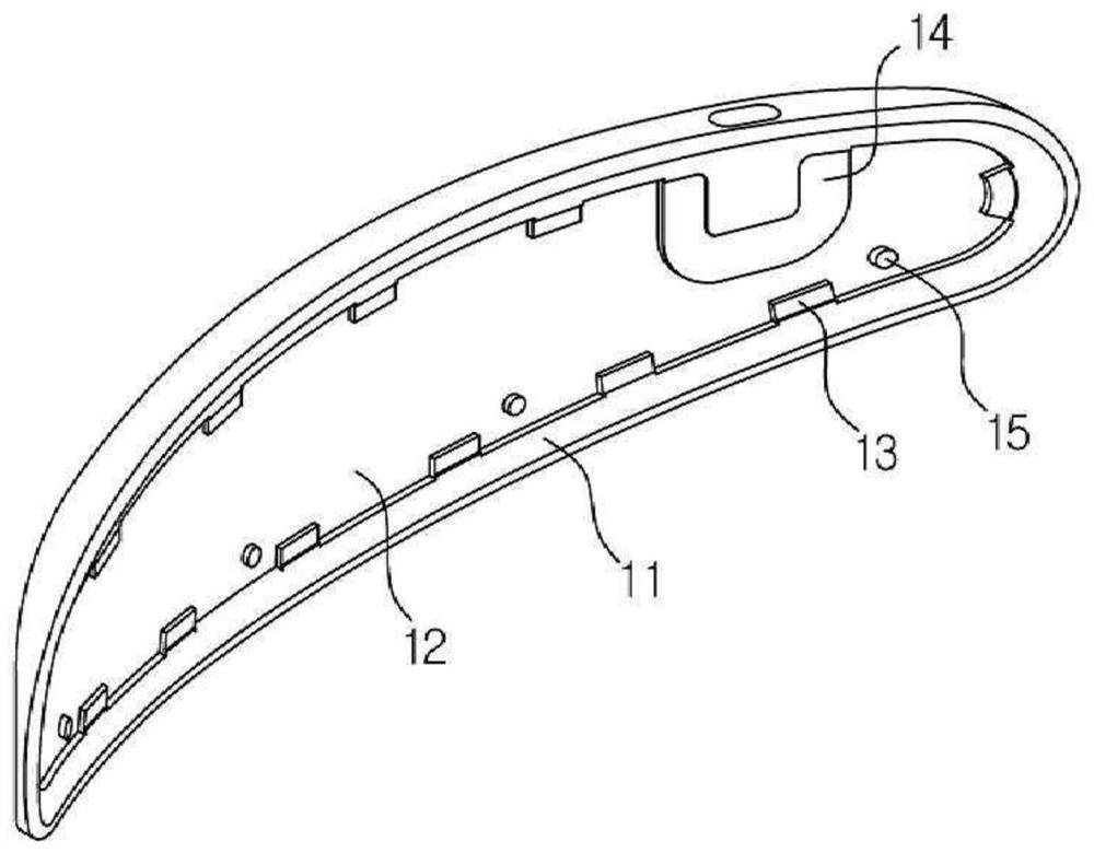 Adhesive heating device and manufacturing method thereof