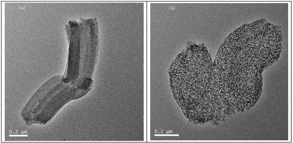 Polymer supercritical carbon dioxide foaming nucleating agent and preparation method and application thereof