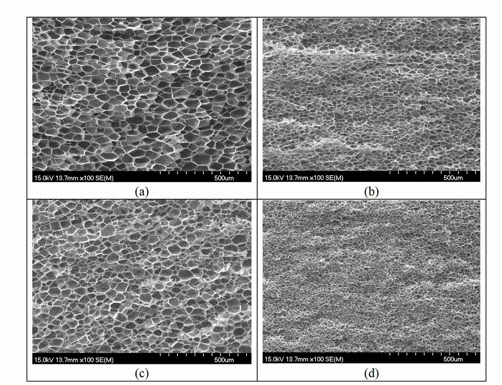 Polymer supercritical carbon dioxide foaming nucleating agent and preparation method and application thereof