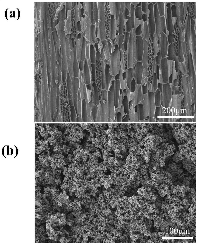 A kind of preparation method of wood-based solar energy seawater desalination material