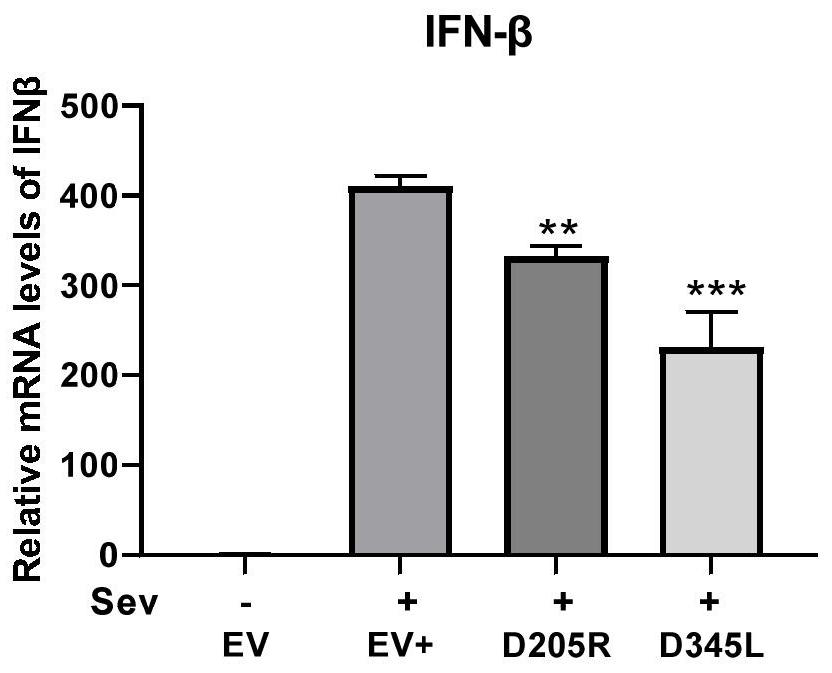 Application of African swine fever virus D205R and D345L genes