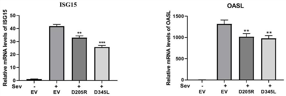 Application of African swine fever virus D205R and D345L genes