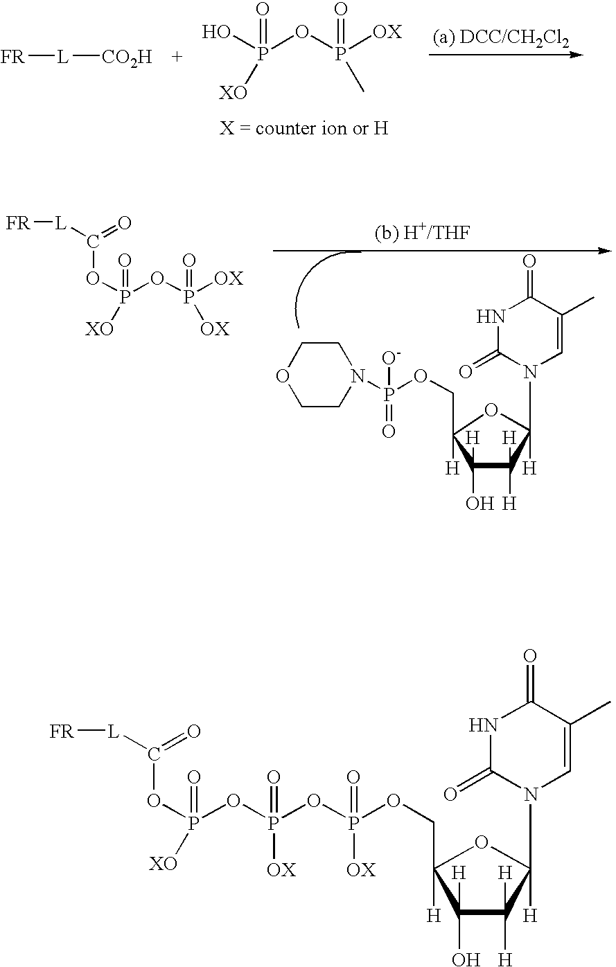 Methods for real-time single molecule sequence determination