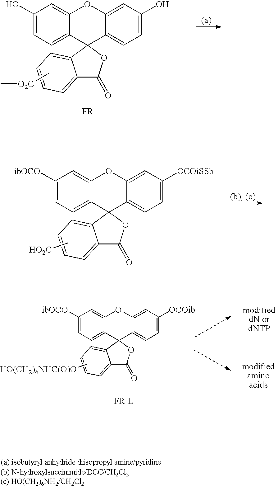 Methods for real-time single molecule sequence determination