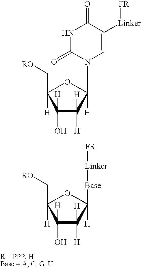 Methods for real-time single molecule sequence determination