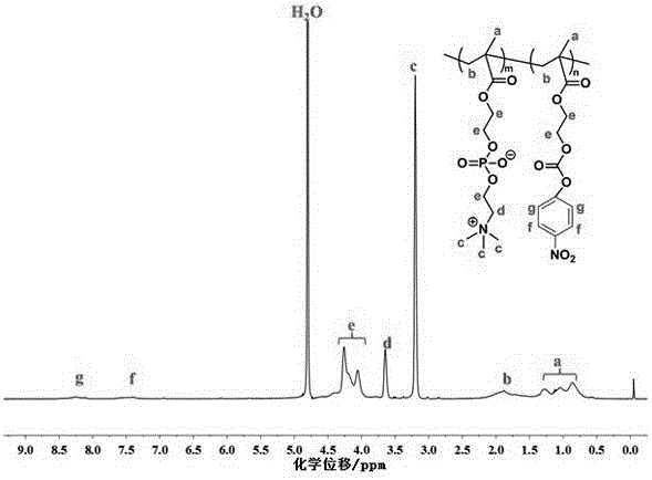 Method for preparing hydrophilic/oleophobic oil-water separation stainless steel net films