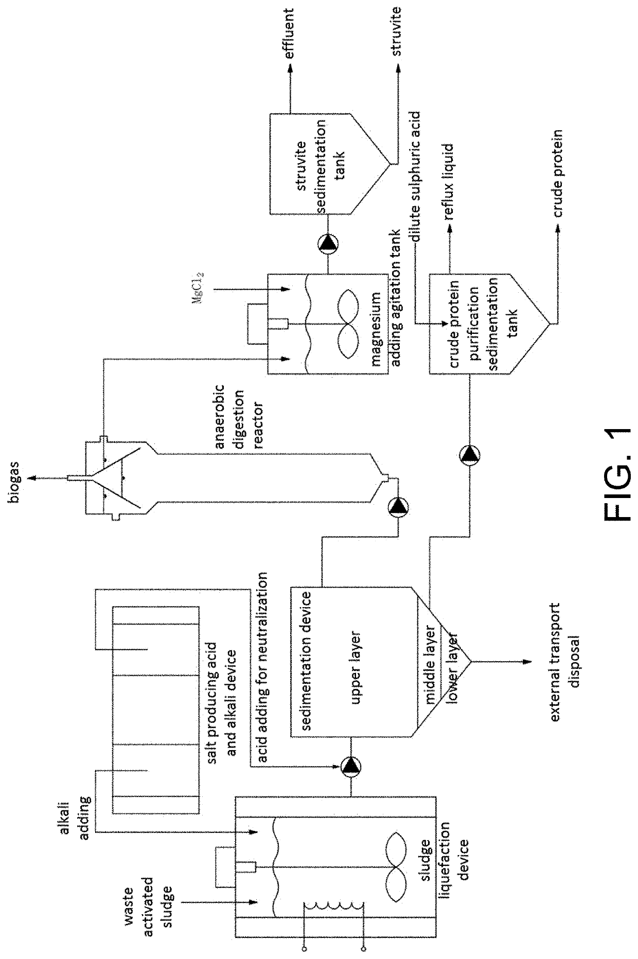 Method for realizing sludge safe disposal and resource recovery through sludge liquefaction and stratification