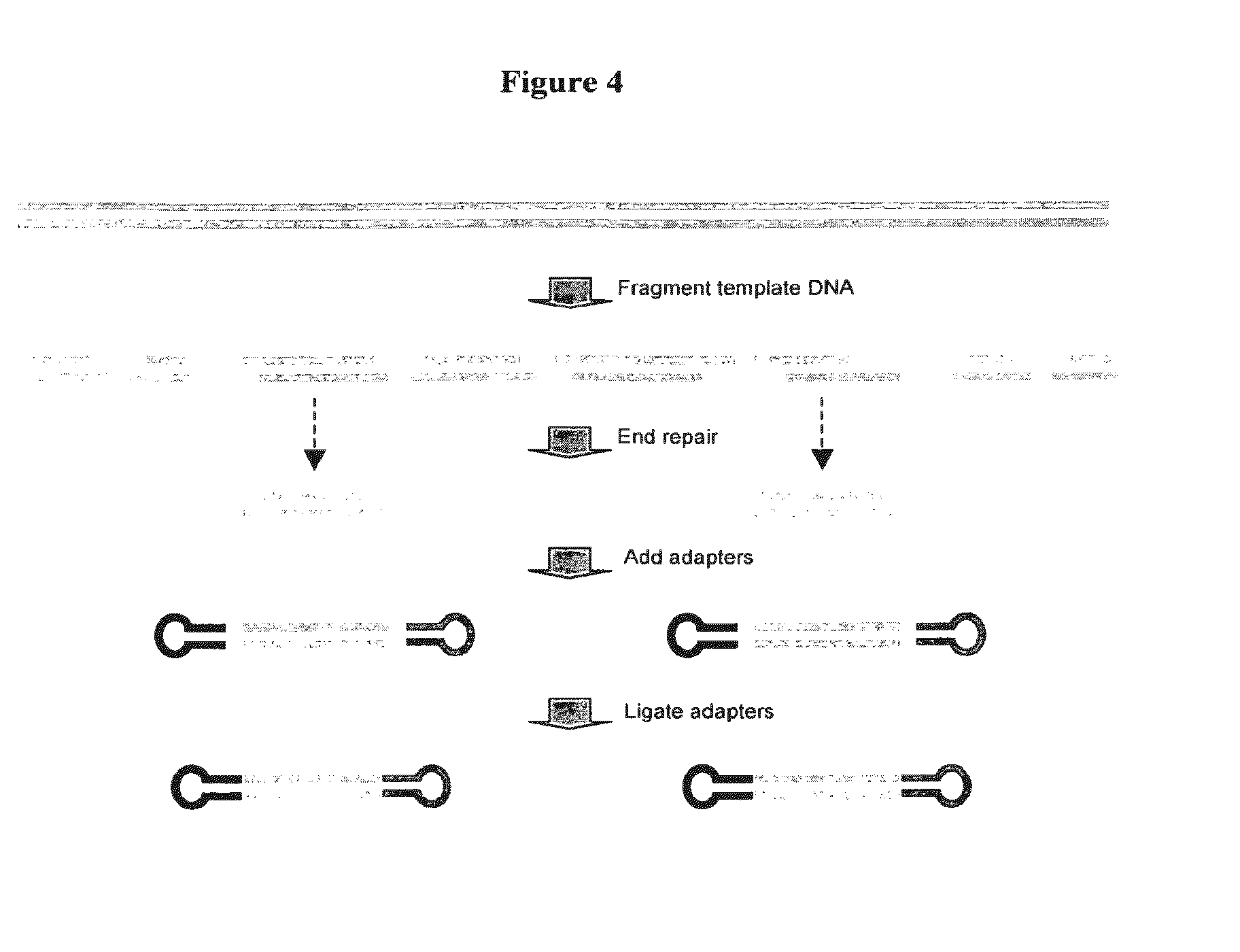 Adaptors for nucleic acid constructs in transmembrane sequencing