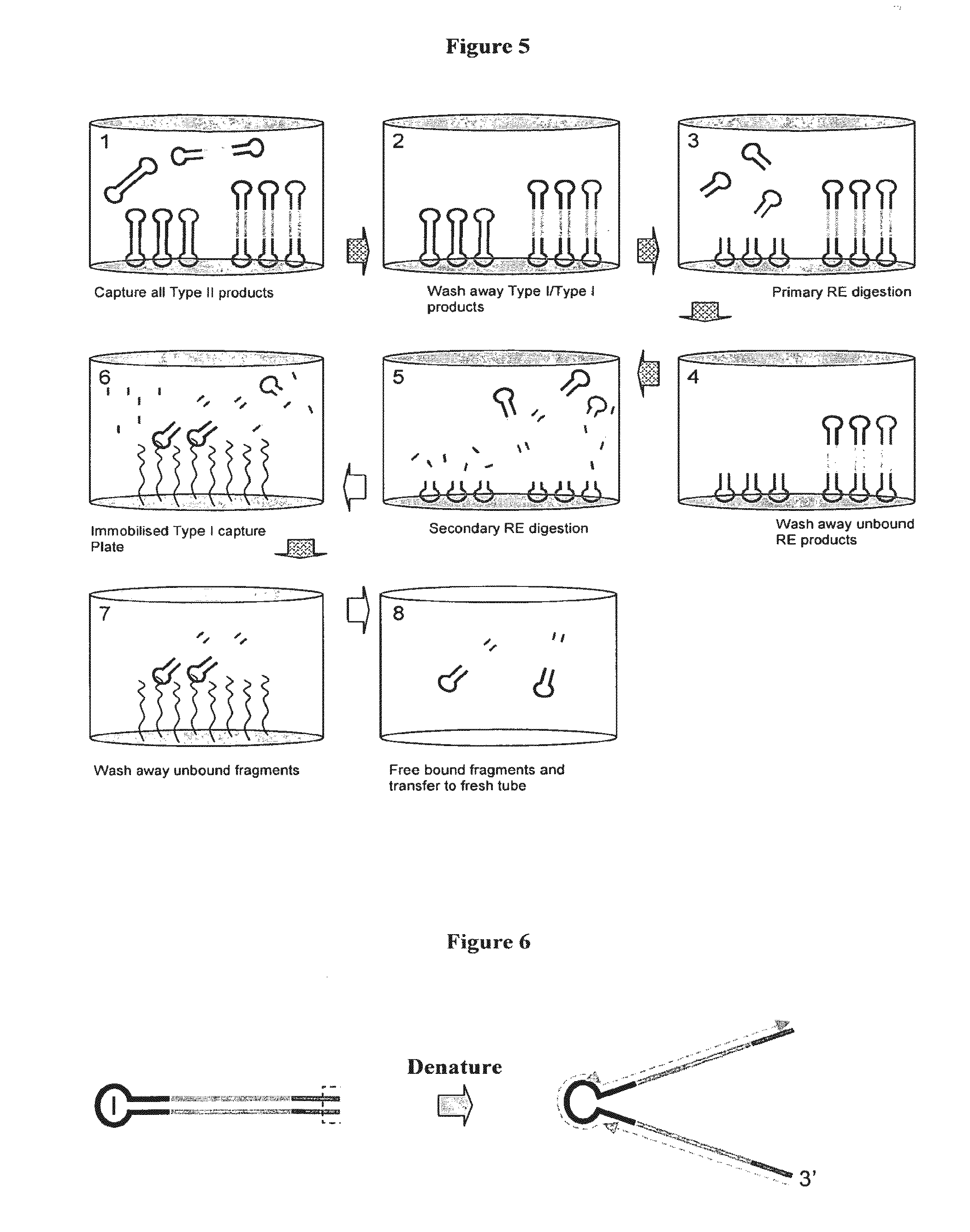 Adaptors for nucleic acid constructs in transmembrane sequencing