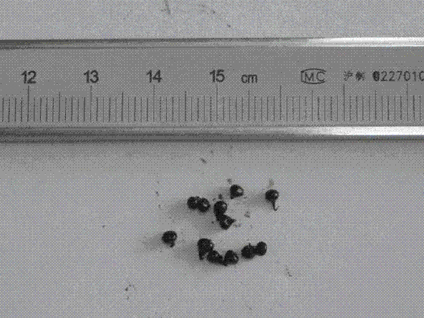 Chitosan porous microballoon loaded copper iodide catalyst as well as preparation method and application thereof