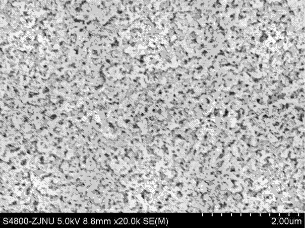 Chitosan porous microballoon loaded copper iodide catalyst as well as preparation method and application thereof