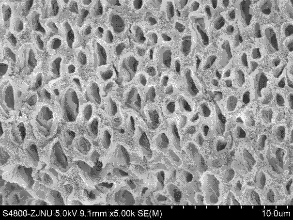 Chitosan porous microballoon loaded copper iodide catalyst as well as preparation method and application thereof