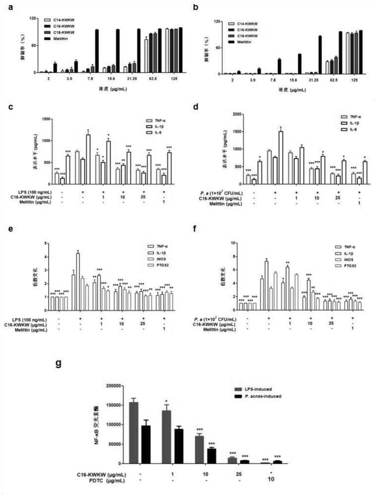 A short lipopeptide with specific anti-Propionibacterium acnes and anti-inflammatory effects