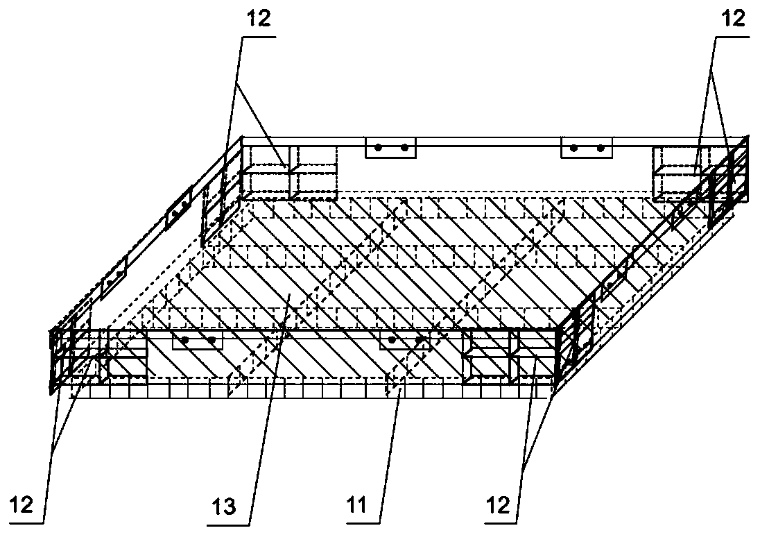 Sea turtle transport box and sea turtle transport method