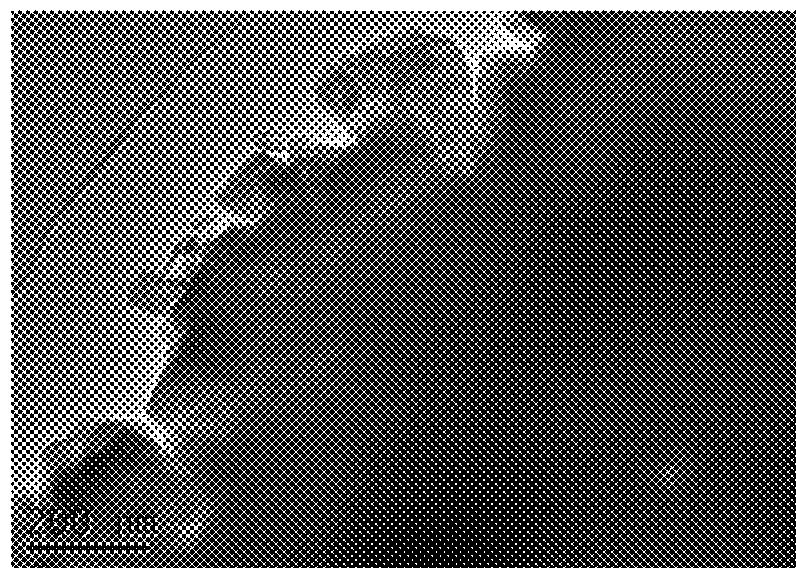 Hollow spherical zeolite IM-5 and preparation method therefor