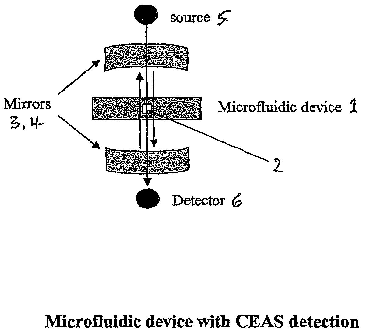 Detection method