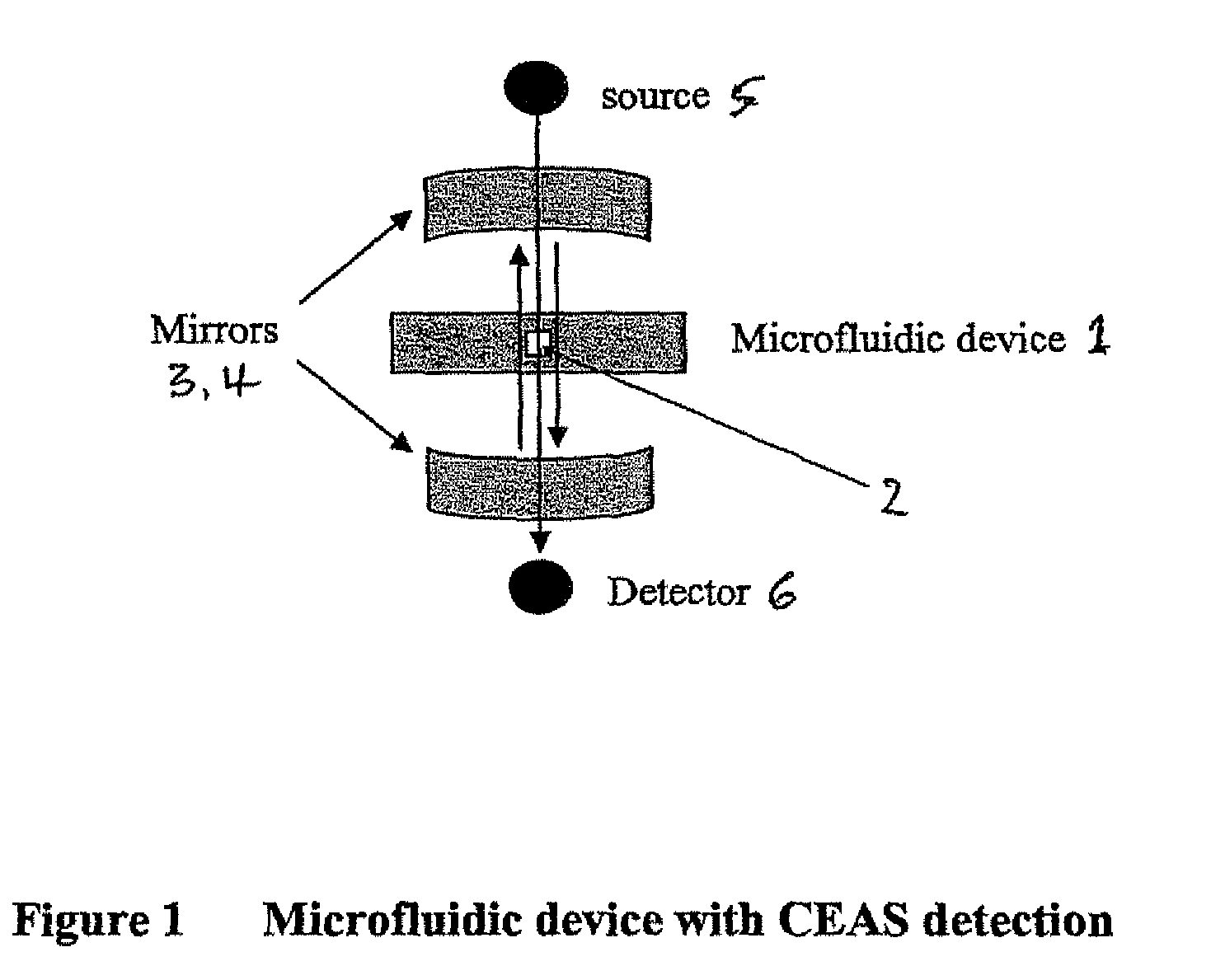 Detection method