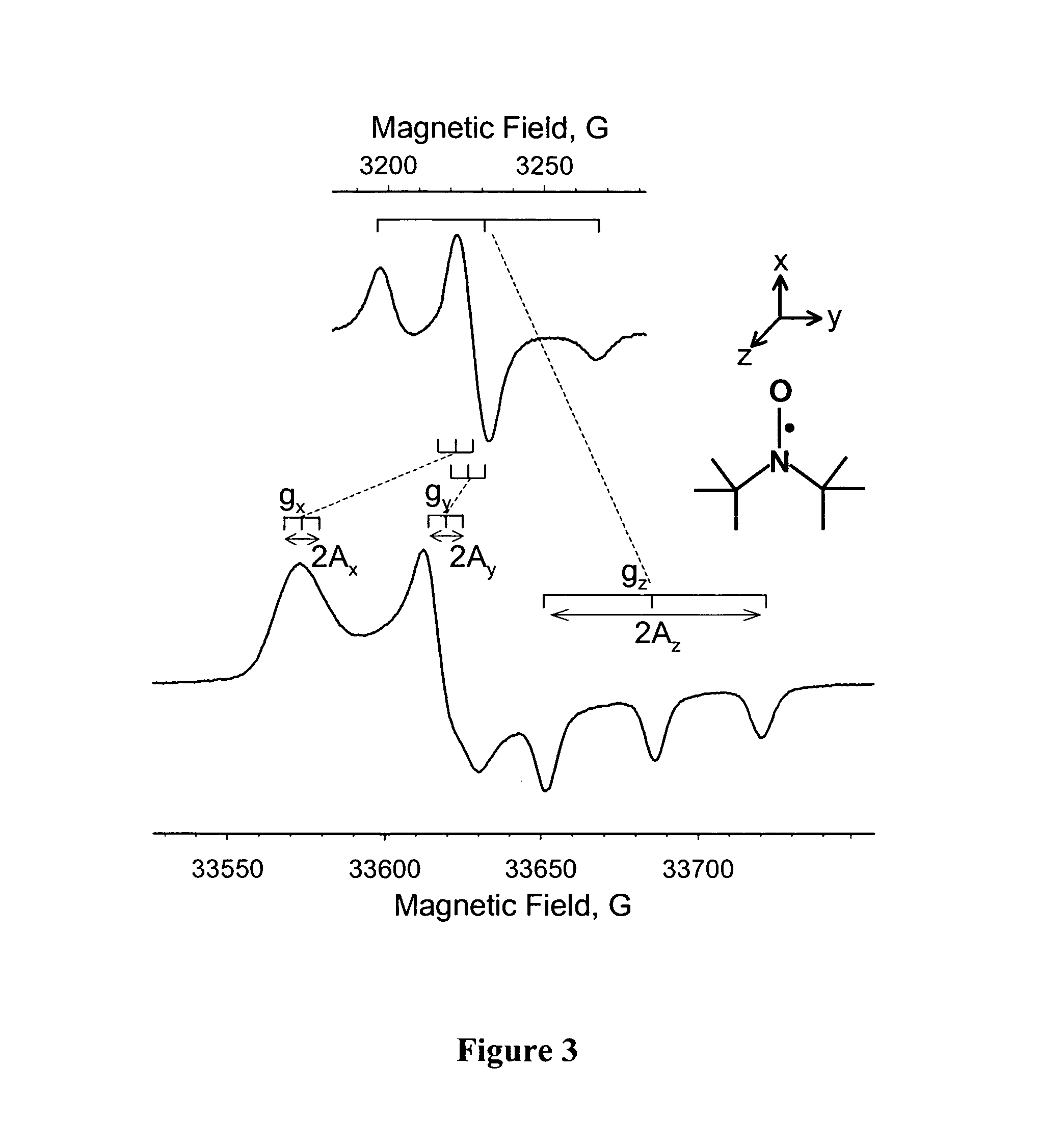 Nanotube structures having a surfactant bilayer inner wall coating