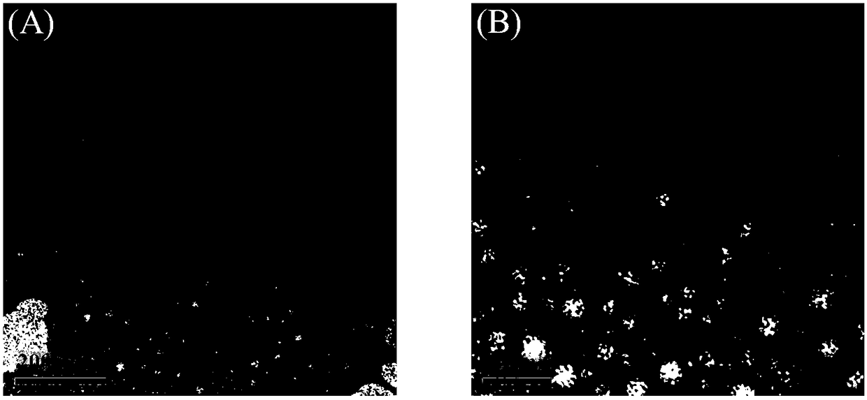 A drug-carrying system capable of specific drug release at tumor sites and its preparation method