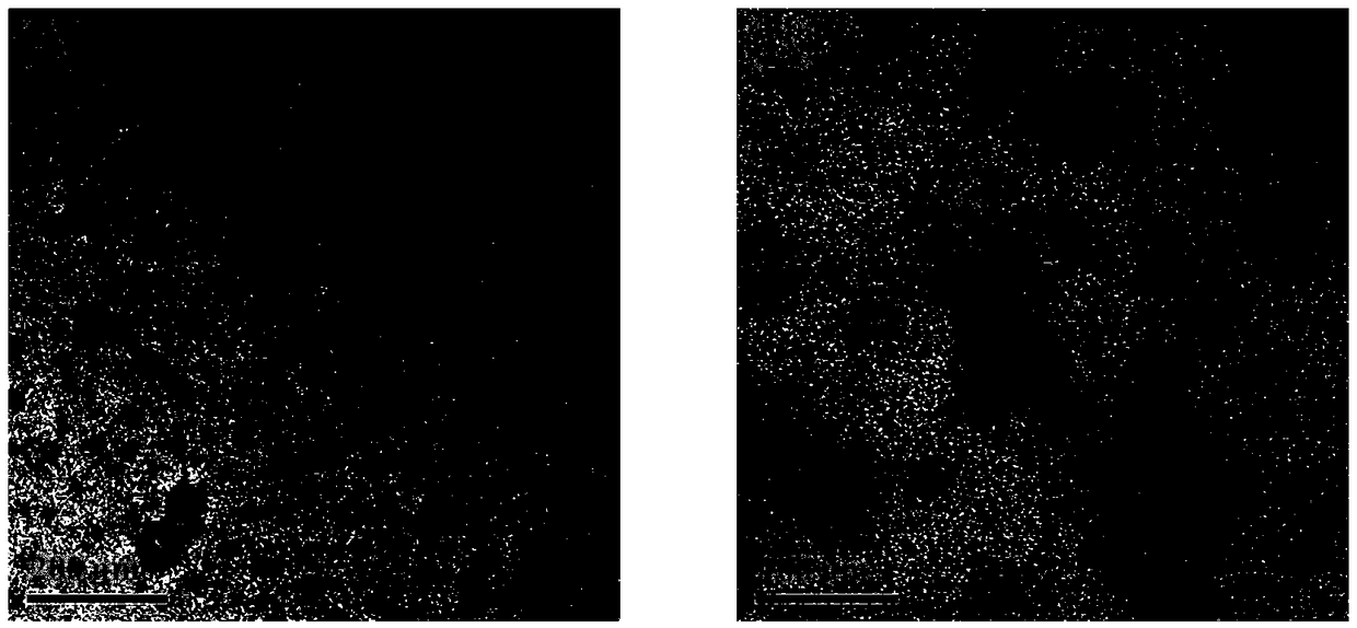 A drug-carrying system capable of specific drug release at tumor sites and its preparation method