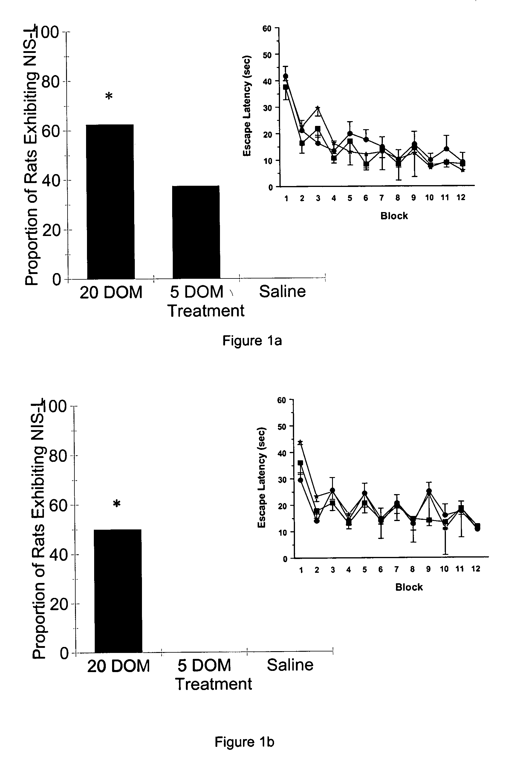 Developmental animal model of temporal lobe epilepsy