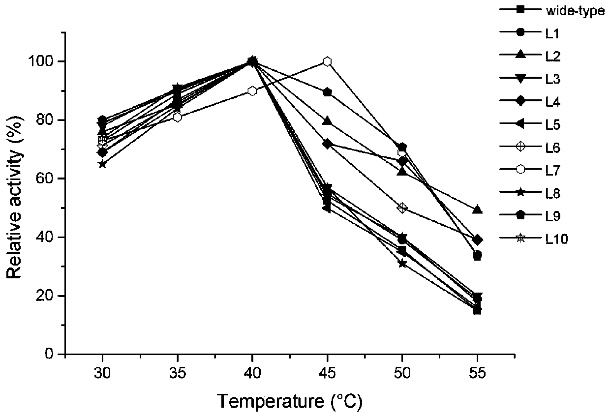 Lipase mutant and application thereof in decontamination