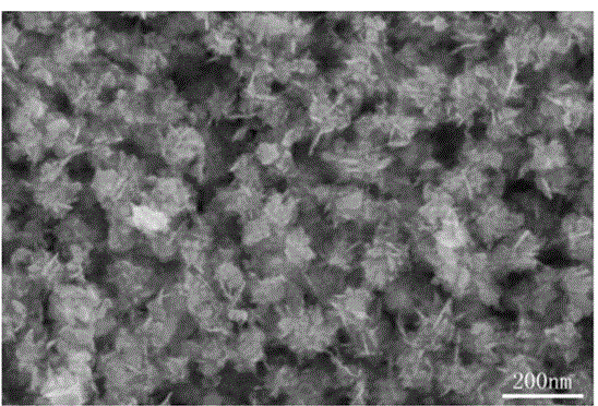 Indium sulfide photocatalyst with hierarchical structures and preparation method thereof