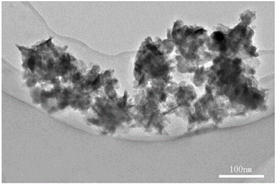 Indium sulfide photocatalyst with hierarchical structures and preparation method thereof