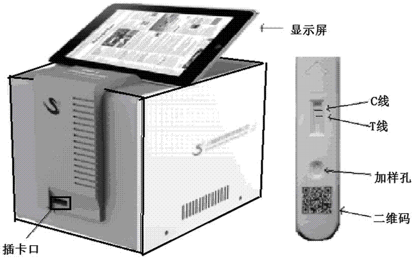 Method for detecting lincomycin in milk based on background fluorescence quenching-immunochromatography